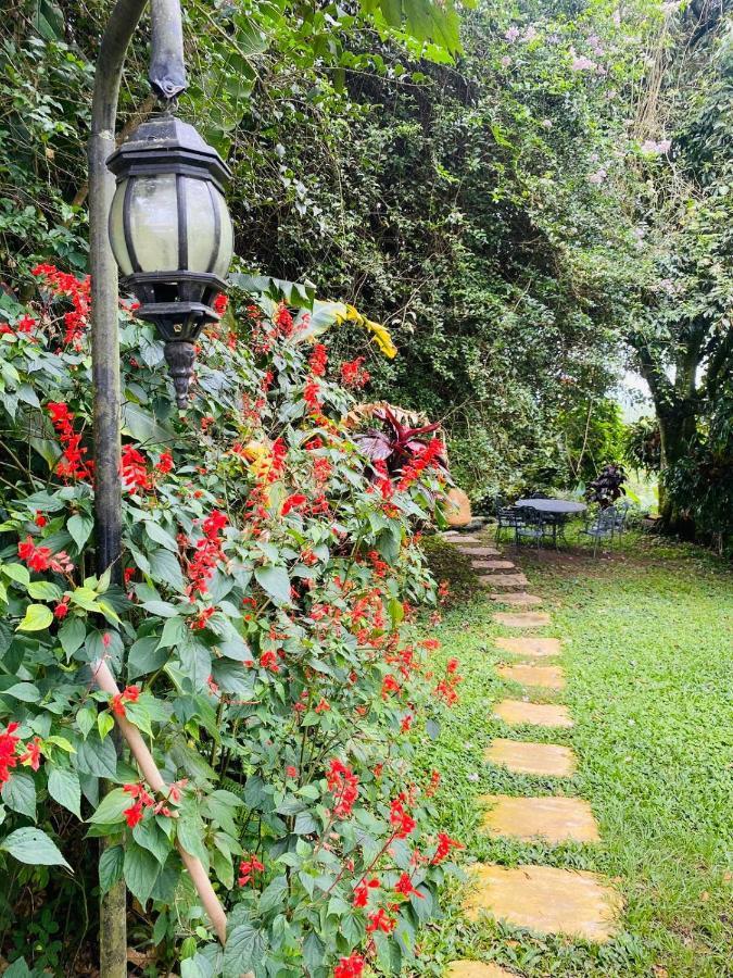 Finca Hotel Los Girasoles Montenegro Exterior foto
